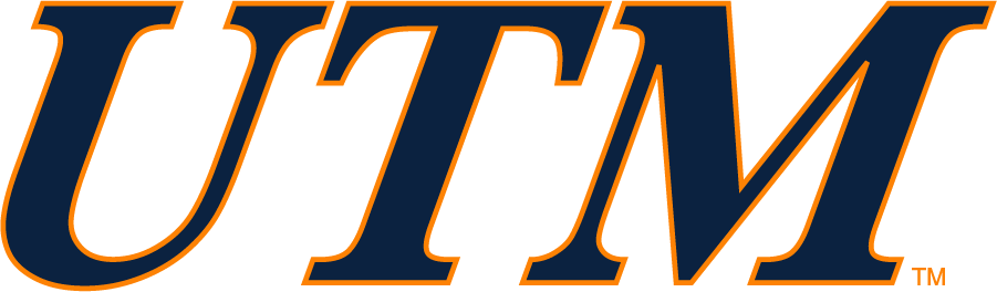 Tennessee-Martin Skyhawks 2007-2017 Wordmark Logo v2 diy iron on heat transfer